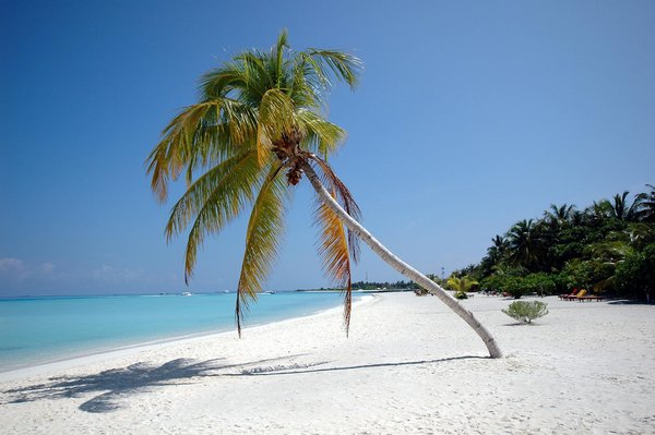 Comment choisir une tente résistante pour un camping en région de vents puissants?